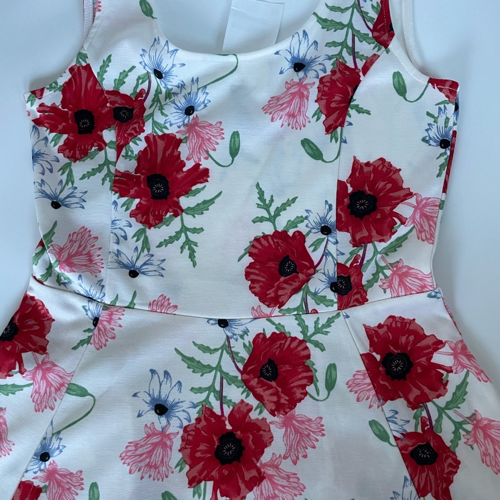 NEVERWORN H&M dress